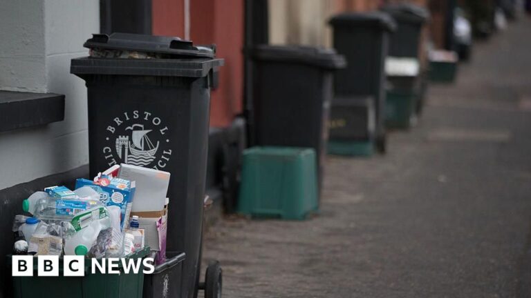 Read more about the article Bristol councillors to vote on three-weekly black bin collections