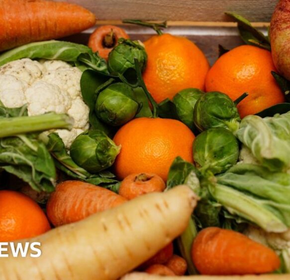£4.2m food waste collection scheme to be rolled out in Plymouth