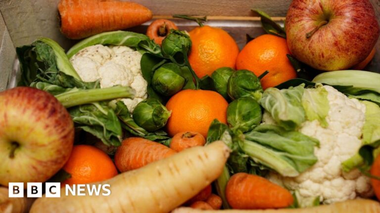 Read more about the article £4.2m food waste collection scheme to be rolled out in Plymouth