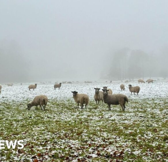 Weather presenter Alexis Green looks back on 2025