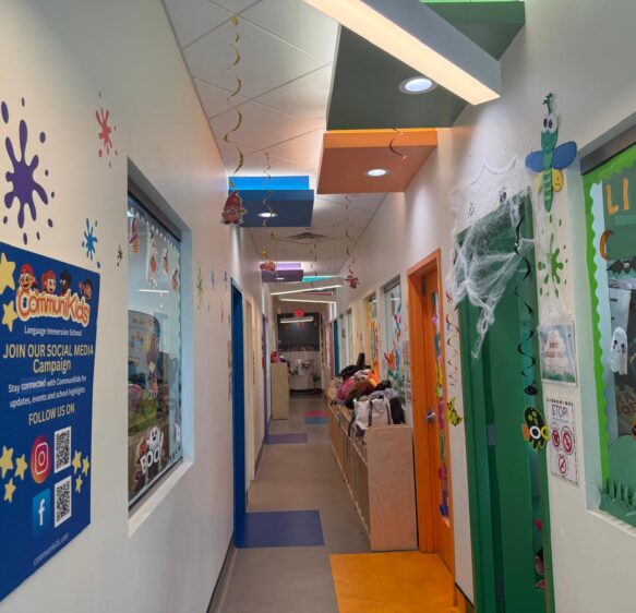 Faced with Trump’s deportation push, US teachers fear leaving the classroom | Donald Trump News