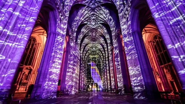 Read more about the article The Storytellers – Exeter Observer