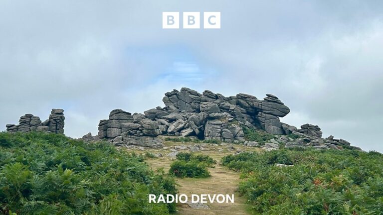 Read more about the article Secret Devon