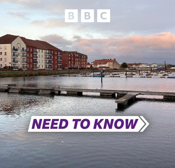 Need To Know Somerset