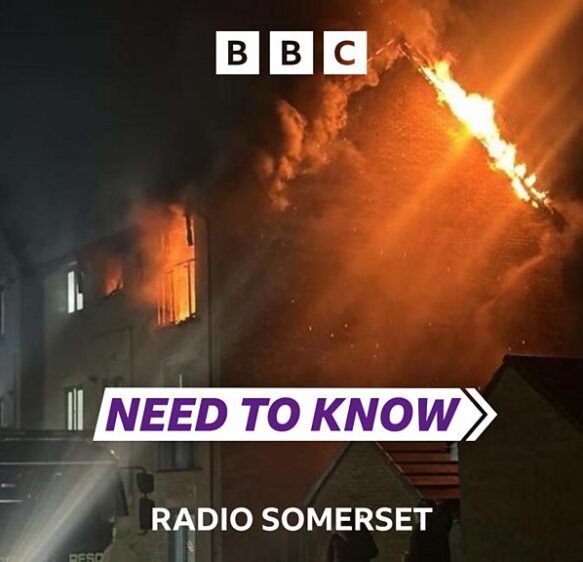 Need To Know Somerset