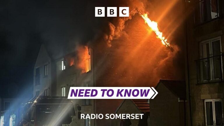 Read more about the article Need To Know Somerset
