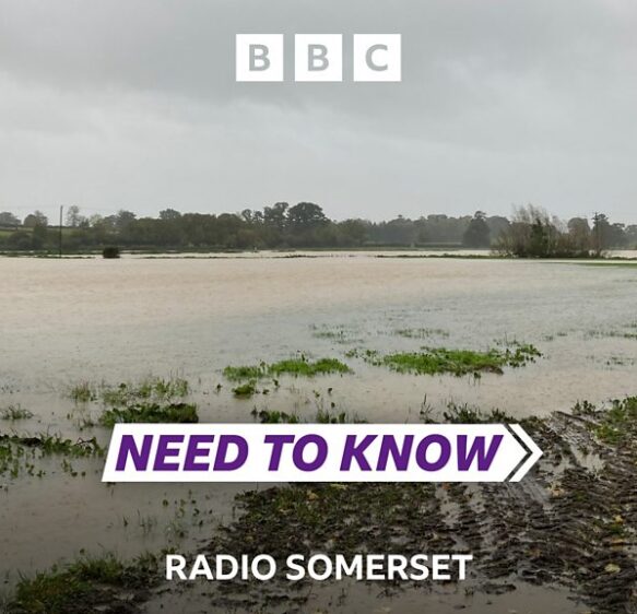Need To Know Somerset