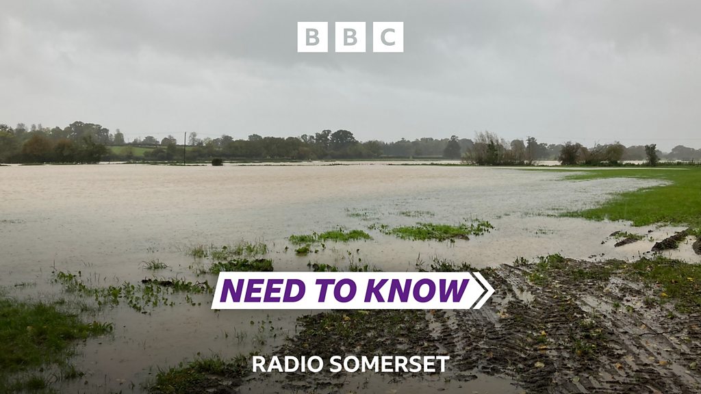 You are currently viewing Need To Know Somerset