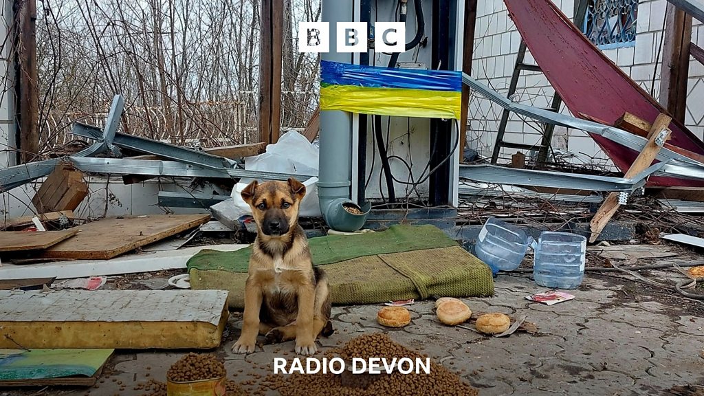 You are currently viewing Ricky Gervais is donating more than 100 thousand pounds to a Devon Charity