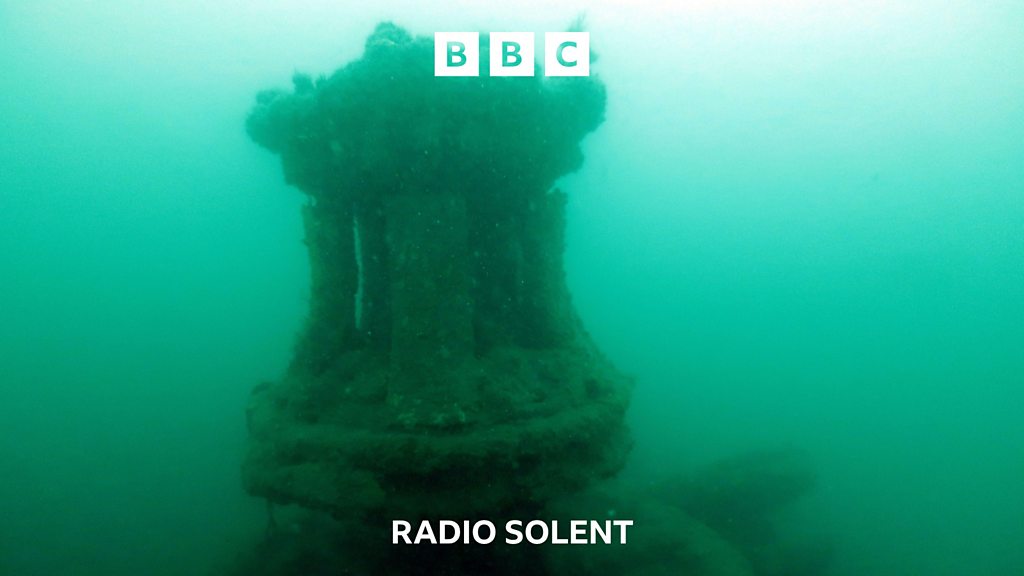 You are currently viewing Dorset shipwreck given protected status
