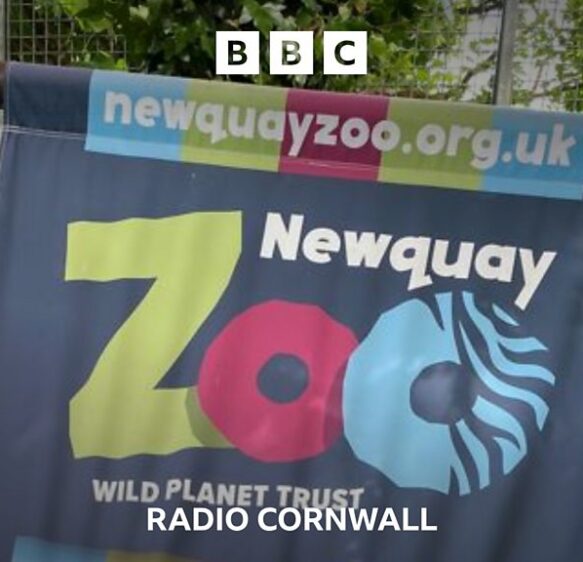 Newquay Zoo has been saved