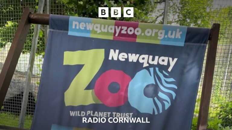 Read more about the article Newquay Zoo has been saved