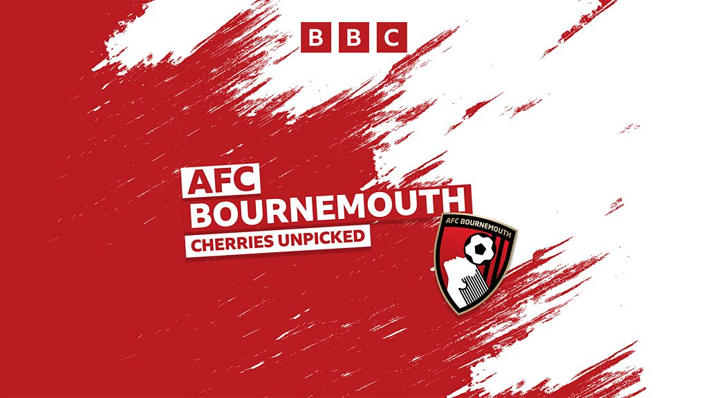 You are currently viewing AFC Bournemouth