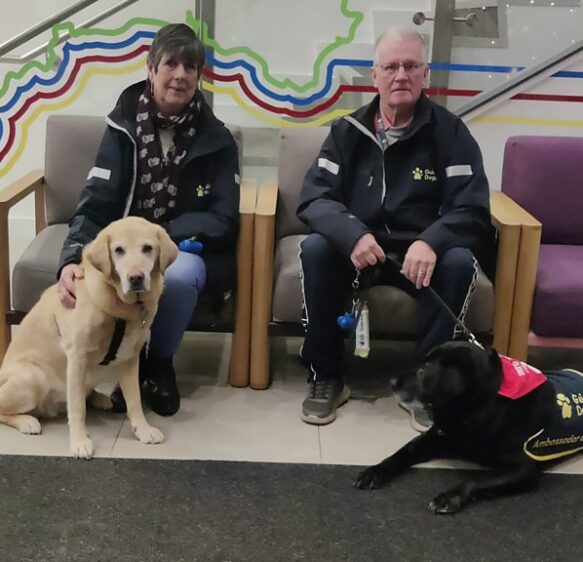 Guide dog named 'national hero' at awards