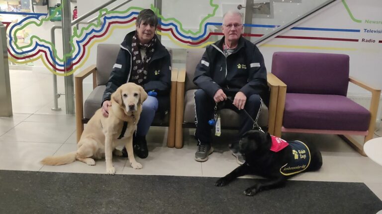 Read more about the article Guide dog named 'national hero' at awards
