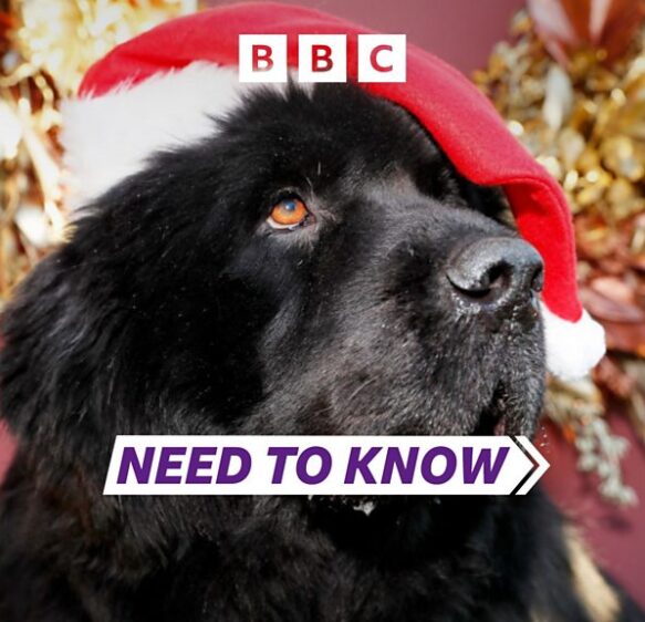 Need To Know Somerset