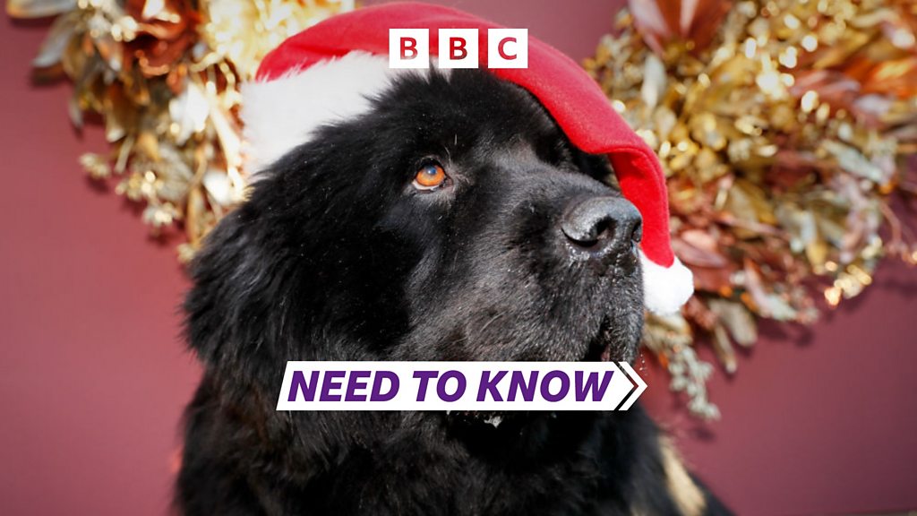 You are currently viewing Need To Know Somerset