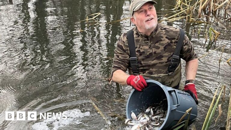 Read more about the article Thousands of fish added to West waterways to top stocks up