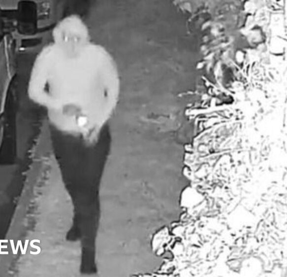 Appeal after two cars destroyed in suspected arson in Camborne