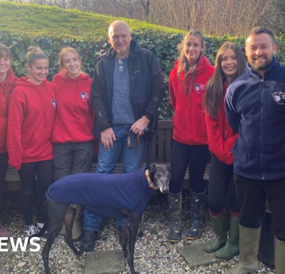 Overlooked rescue dog finally rehomed after 1,000 days