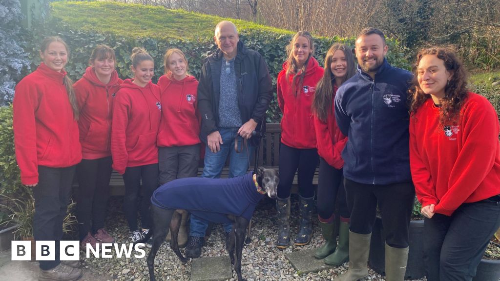 You are currently viewing Overlooked rescue dog finally rehomed after 1,000 days