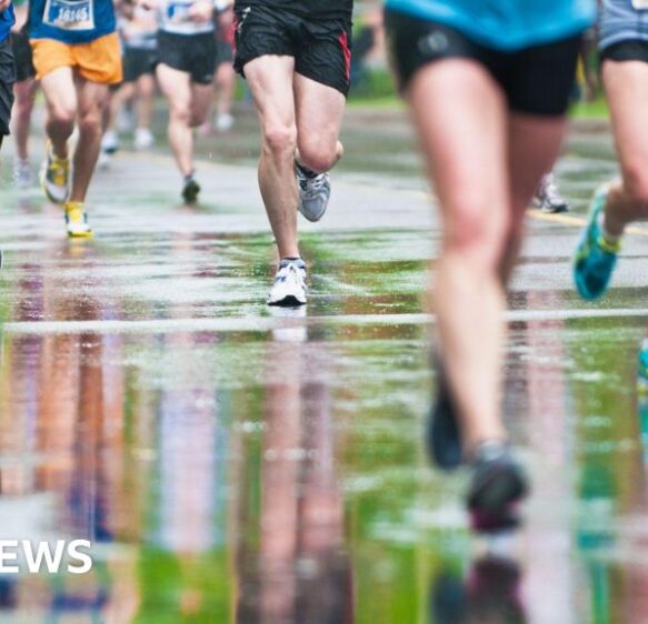 ‘Half marathon returns’ and ‘rare eagle spotted’