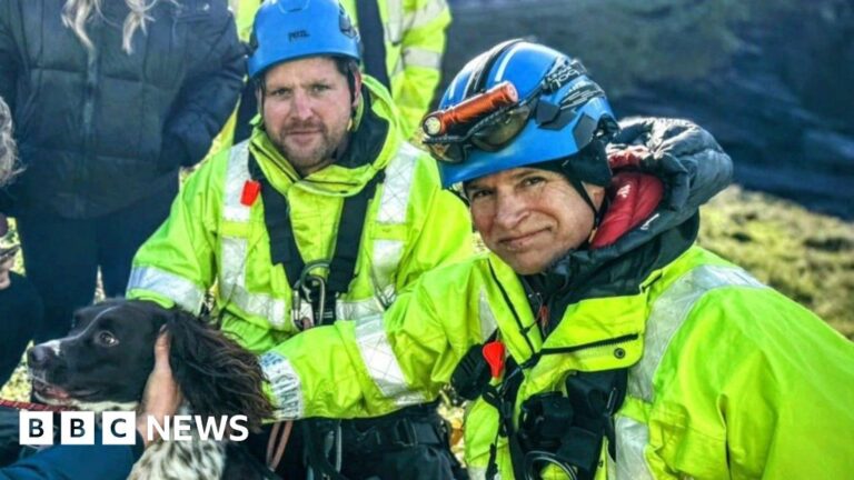 Read more about the article Coastguard in Cornwall rescue missing dog from narrow cliff