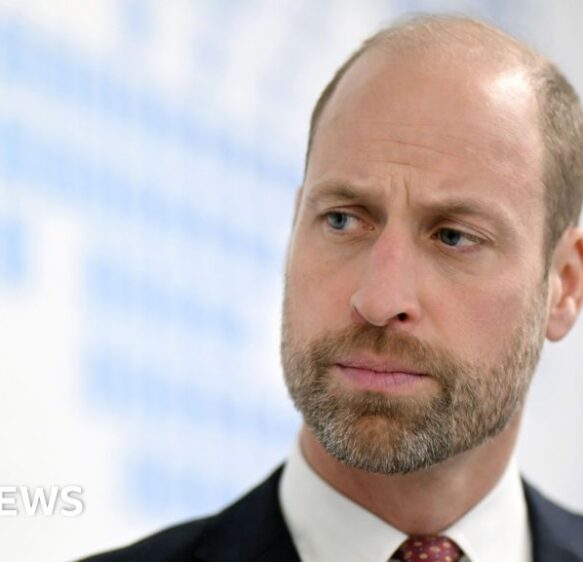 Prince William’s estate to build 620 homes in Somerset