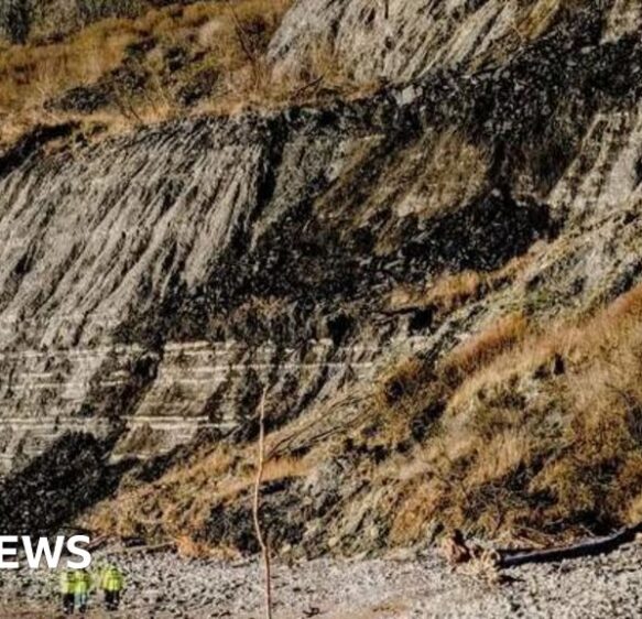 Warning as boulders fall on to Monmouth Beach near Lyme Regis