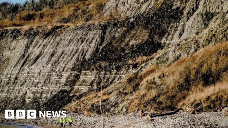 Read more about the article Warning as boulders fall on to Monmouth Beach near Lyme Regis
