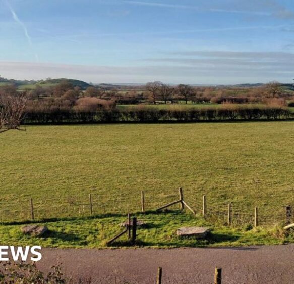Nature reserve being created alongside Somerset’s Strawberry Line