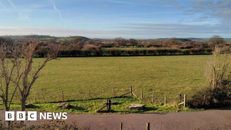 Read more about the article Nature reserve being created alongside Somerset’s Strawberry Line