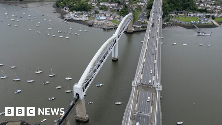 Read more about the article Tamar crossing charges ‘critical’ for commuters