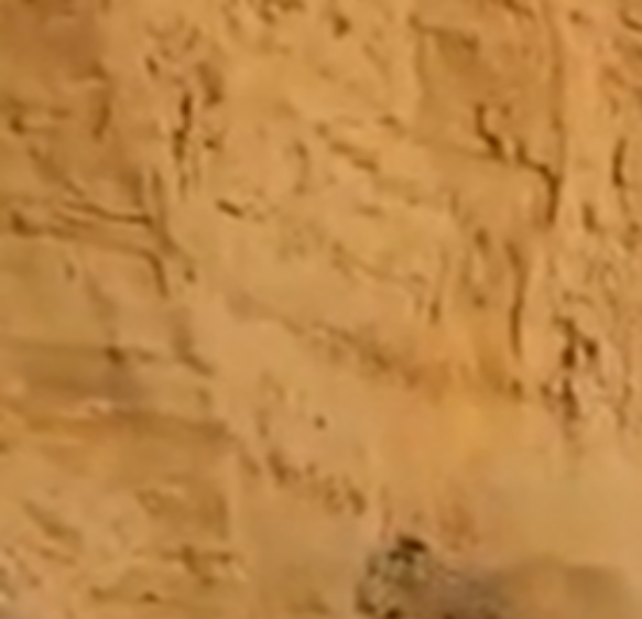 Five stories from the South you may have missed