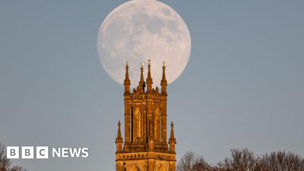 You are currently viewing ‘Palm tree planning row’ and ‘Wolf moon’