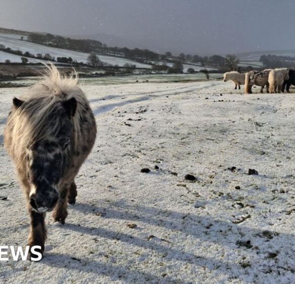Ice warnings are updated for South West as snow falls in Devon
