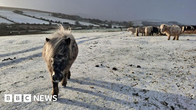 Read more about the article Ice warnings are updated for South West as snow falls in Devon