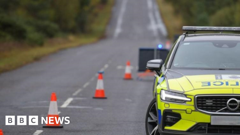 Read more about the article Driver sentenced over Dorset A31 police vehicle crash