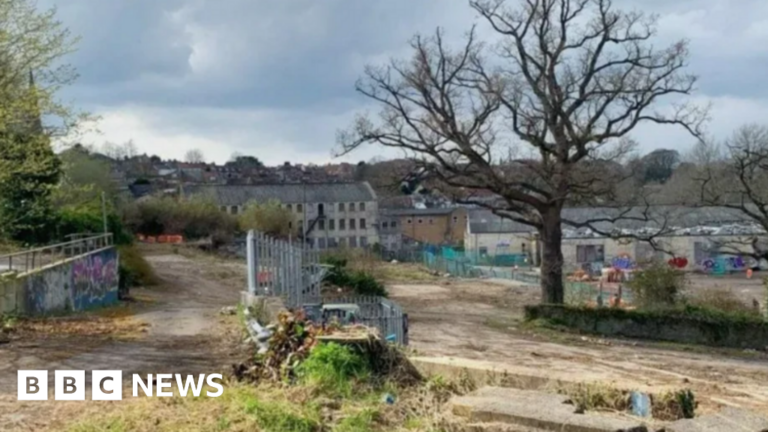 Read more about the article Public offered shares to help redevelop derelict Saxonvale site