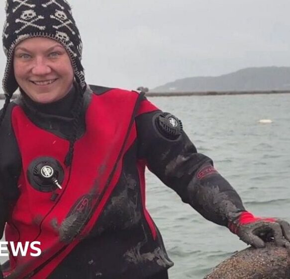 More than 500 tyres collected from Plymouth Sound seabed