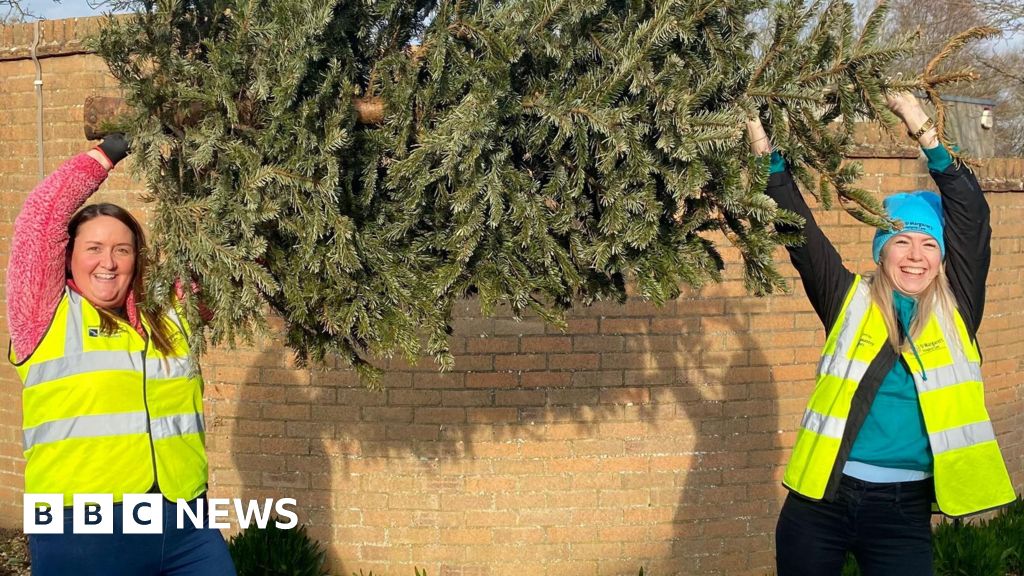 You are currently viewing The charities collecting Christmas trees in Bristol, Gloucestershire, Somerset and Wiltshire