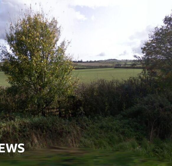 Plan for 180 homes on ‘one of the best fields’ in county approved