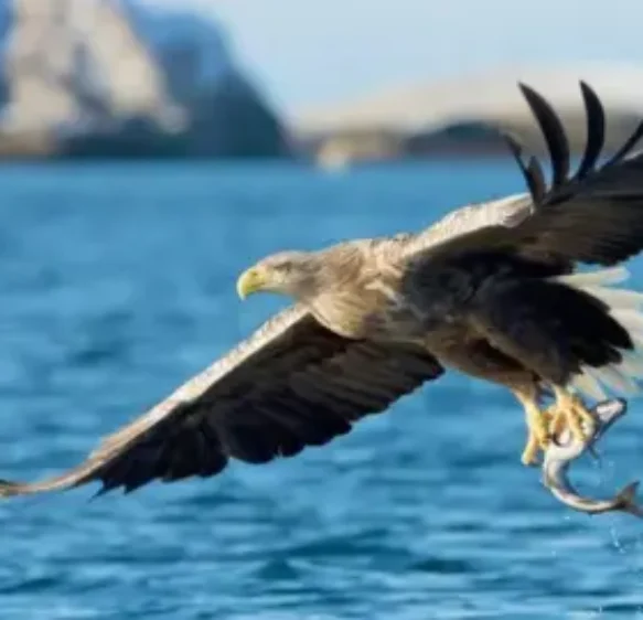 Five stories from the south you may have missed