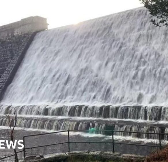 Project to help Atlantic salmon in Devon shows signs of success