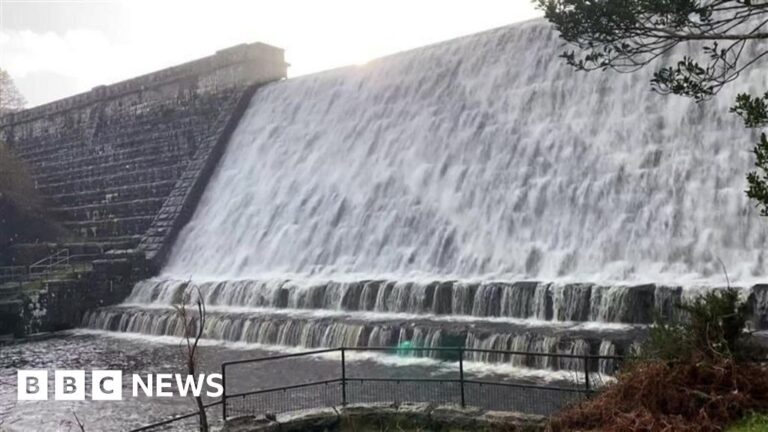 Read more about the article Project to help Atlantic salmon in Devon shows signs of success