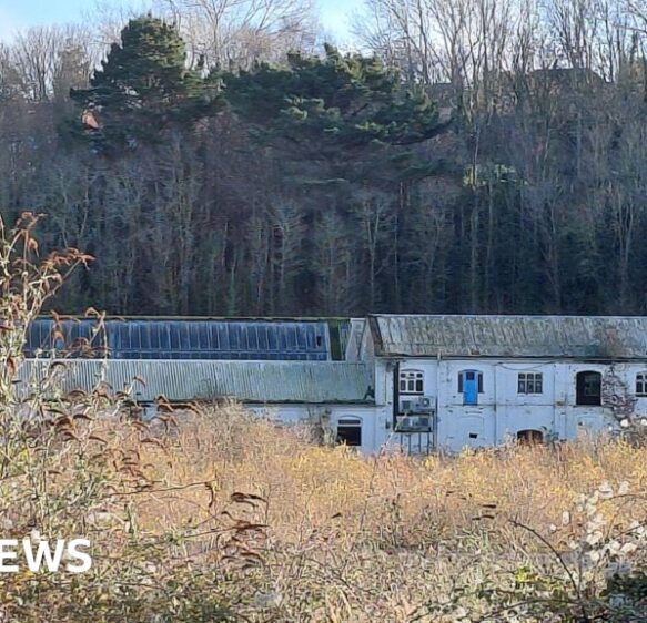 Group hopes to build affordable homes at Watchet’s old paper mill