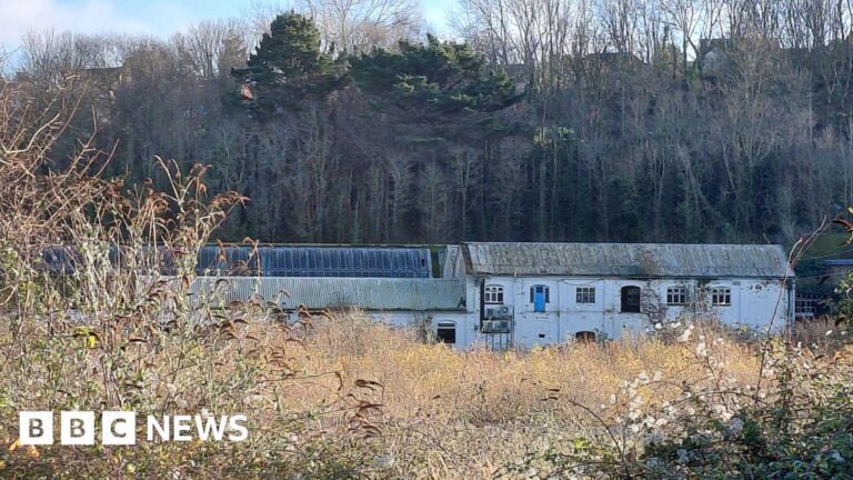 Read more about the article Group hopes to build affordable homes at Watchet’s old paper mill