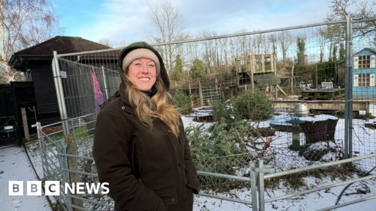 Read more about the article South weekly quiz: What animals are eating Christmas trees?