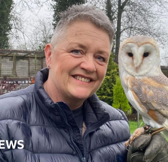 Dorset wildlife centre ‘heartbroken’ to end rescue service