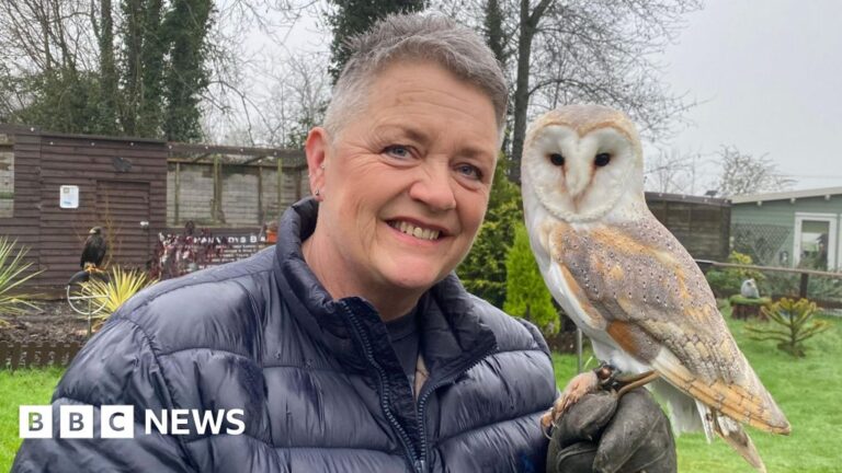 Read more about the article Dorset wildlife centre ‘heartbroken’ to end rescue service